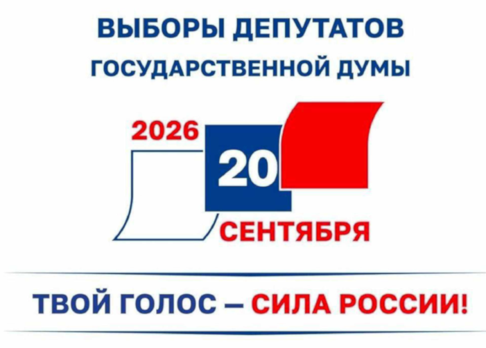 Выборы в Государственную Думу ФС РФ: когда и где голосовать в Германии
